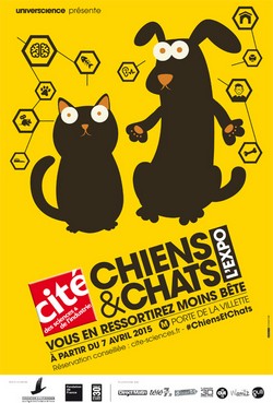 chiens_chats